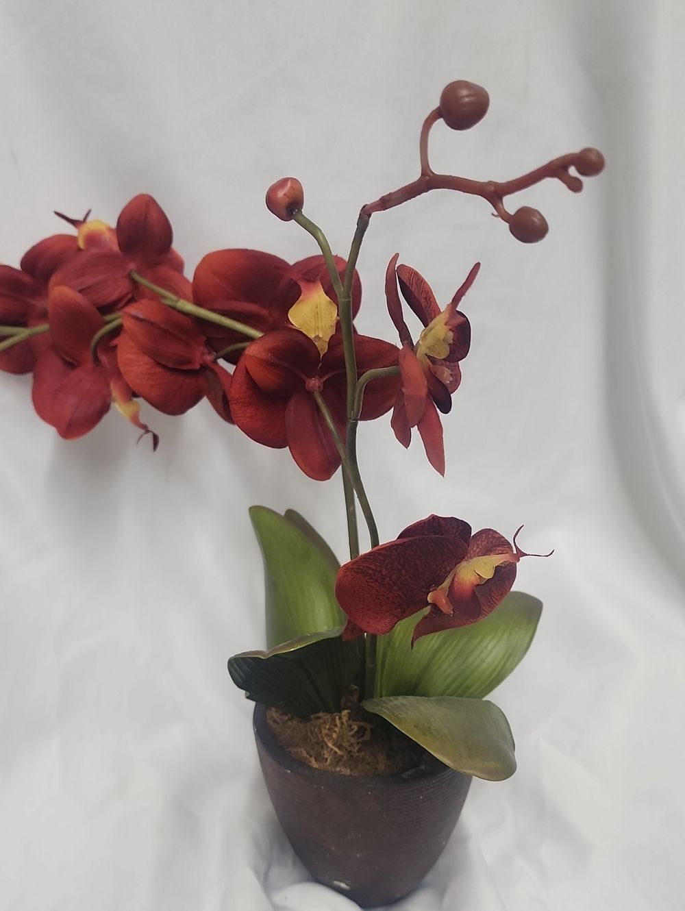 Faux Rust Colored Orch8d In Decorative Pot